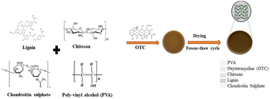 Graphical abstract: A lignin-based biocomposite hydrogel for antimicrobial and wound healing applications