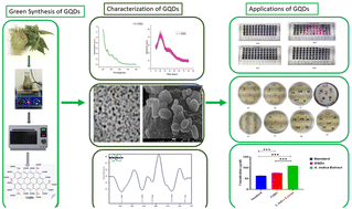 Graphical abstract: Microwave-assisted green synthesis of fluorescent graphene quantum dots (GQDs) using Azadirachta indica leaves: enhanced synergistic action of antioxidant and antimicrobial effects and unveiling computational insights