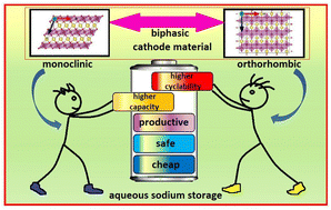 Graphical abstract: High-performance biphasic NaxMnO2 electrodes for cost-effective and high-power aqueous sodium batteries and capacitors