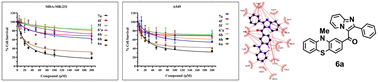 Graphical abstract: Design, synthesis, molecular docking and anti-proliferative activity of novel phenothiazine containing imidazo[1,2-a]pyridine derivatives against MARK4 protein