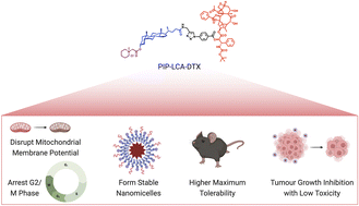 Graphical abstract: Docetaxel-conjugated bile acid-derived nanomicelles can inhibit tumour progression with reduced toxicity