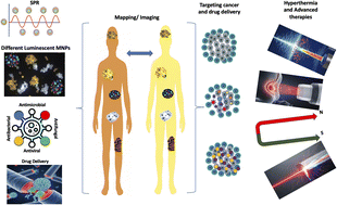 Graphical abstract: Metallic nanoparticles: from biosynthesis to biomedical applications, current scenarios and prospects
