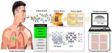 Graphical abstract: Graphene and metal–organic framework hybrids for high-performance sensors for lung cancer biomarker detection supported by machine learning augmentation