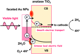 Graphical abstract: Efficient plasmonic water splitting by heteroepitaxial junction-induced faceting of gold nanoparticles on an anatase titanium(iv) oxide nanoplate array electrode