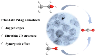 Graphical abstract: 2D petal-like PdAg nanosheets promote efficient electrocatalytic oxidation of ethanol and methanol