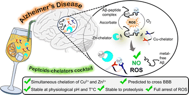 Graphical abstract: A cocktail of Cu2+- and Zn2+-peptoid-based chelators can stop ROS formation for Alzheimer's disease therapy
