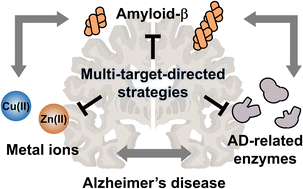 Graphical abstract: Multi-target-directed therapeutic strategies for Alzheimer's disease: controlling amyloid-β aggregation, metal ion homeostasis, and enzyme inhibition