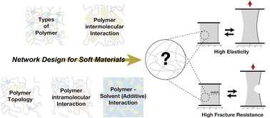 Graphical abstract: Network design for soft materials: addressing elasticity and fracture resistance challenges