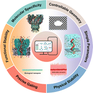 Graphical abstract: Probing nanopores: molecular dynamics insights into the mechanisms of DNA and protein translocation through solid-state and biological nanopores