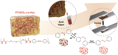 Graphical abstract: Synergistic effects of azobenzene and thiourea backbones in multiresponsive copolymers for sensing and adhesive technologies
