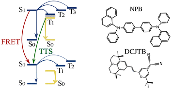 Graphical abstract: Exploring the triplet-to-singlet conversion mechanism in persistent luminescence: insights from a host–guest system