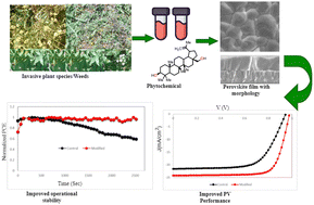 Graphical abstract: Recent trends on the application of phytochemical-based compounds as additives in the fabrication of perovskite solar cells