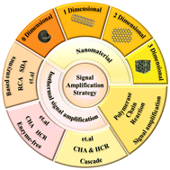 Graphical abstract: Application and development of signal amplification strategy in detection of antibiotic residues in food