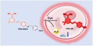 Graphical abstract: A near-infrared fluorescent probe selectively recognizing cysteine to release H2S and its applications