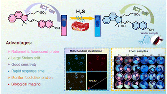 Graphical abstract: A mitochondria-targeted fluorescent probe for ratiometric detection of H2S and its application in monitoring food freshness and bioimaging