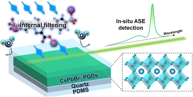 Graphical abstract: Polydimethylsiloxane encapsulated CsPbBr3 quantum dots enable amplified spontaneous emission-driven in situ, ultrahigh-speed monitoring of water-soluble food additives