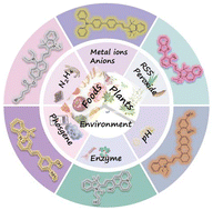 Graphical abstract: Research progress on design strategies of hemicyanine-based fluorescent probes and their applications in environmental and food analysis