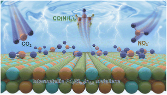 Graphical abstract: Accelerated electrocatalytic urea synthesis via atomic-ordering-mediated d–p orbital hybridization in ternary intermetallic Pd3Bi0.5In0.5 metallene