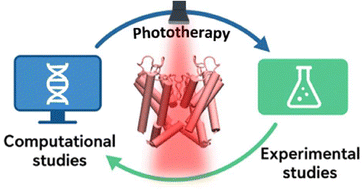 Graphical abstract: Photoswitches for ion channel regulation: expanding the scope of phototherapy through computational chemistry