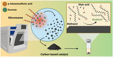 Graphical abstract: Microwave-assisted synthesis of a sulfonated carbon-based catalyst for efficient esterification of oleic acid into biodiesel