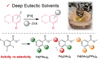 Graphical abstract: Exploring pre-catalyst scope and selectivity in Negishi coupling of aryl iodides in deep eutectic solvents