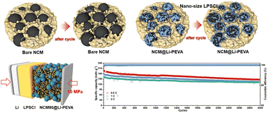 Graphical abstract: Self-adaptive interfacial glue for low-pressure sulfide-based all-solid-state lithium metal batteries