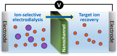 Graphical abstract: Nanochannel membranes for ion-selective electrodialysis: principles, materials, and environmental applications