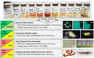 Graphical abstract: Emerging investigator series: environmental safety assessment of 11 novel metal oxide/hydroxide nanocomposite adsorbents for advanced magnetic removal and recovery of phosphorus from wastewater