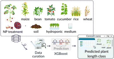 Graphical abstract: Rigorous data curation, enrichment and meta-analysis enable autoML prediction of plant length responses to nanoparticles powered by the Enalos Cloud platform