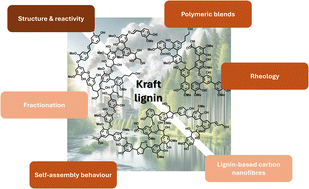 Graphical abstract: Spiers Memorial Lecture: organic, physical & polymer aspects pivotal in lignin valorization