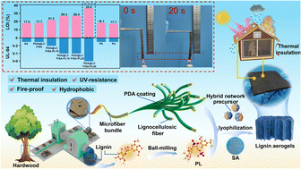 Graphical abstract: P–N synergy with lignocellulosic biomimetic flame-retardant aerogels for effective fire-safe and thermal insulation
