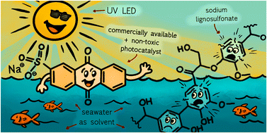 Graphical abstract: Swimming upstream – photocatalytic depolymerization of lignosulfonate in seawater
