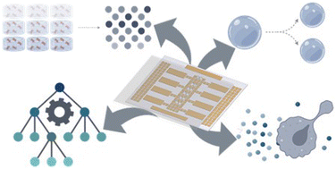 Graphical abstract: Mammalian cell culture and analysis in digital microfluidic platforms