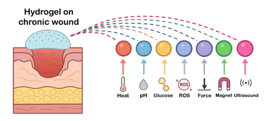 Graphical abstract: Emerging stimuli-responsive hydrogels for enhancing chronic wound healing