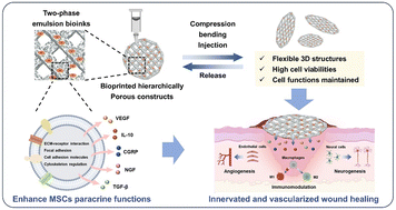 Graphical abstract: Injectable scaffolds with a hierarchically porous structure and augmented paracrine activity for minimally invasive precision medicine
