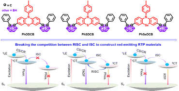 Graphical abstract: Controlling the intersystem crossing/reverse intersystem crossing (ISC/RISC) competition to achieve efficient red metal-free phosphorescent molecules