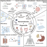 Graphical abstract: Application of nanomaterials in organoid culture and cryopreservation