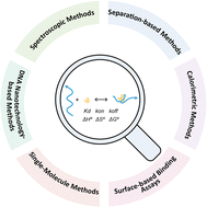 Graphical abstract: Emerging quantitative techniques for characterizing nucleic acid-involved molecular interactions
