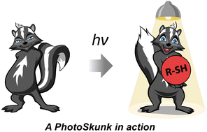 Graphical abstract: Photoskunks: molecules for light-induced thiol generation