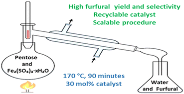 Graphical abstract: One-step conversion of hemicellulosic pentoses into furfural via iron(iii) sulfate-catalyzed distillation