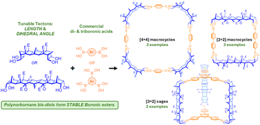 Graphical abstract: A new class of customisable stable boronic ester assemblies