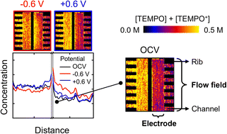 Graphical abstract: Neutron imaging to study the influence of flow fields and porous electrodes on concentration distributions in redox flow cells
