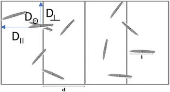 Graphical abstract: Buffon's Brownian needles: harnessing thermal motion for stochastic sampling