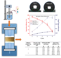 Graphical abstract: Comparative analysis of Calotropis procera and Ceiba pentandra fibre-based filters used to separate oil from emulsified effluent