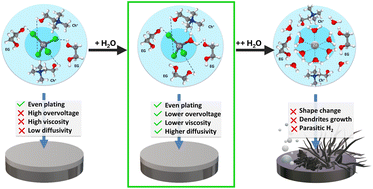 Graphical abstract: Solving ZIB challenges: the dynamic role of water in deep eutectic solvents electrolyte