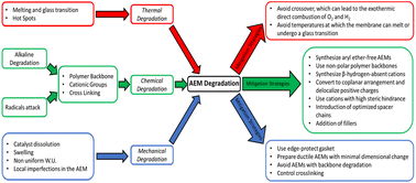 Graphical abstract: Durability and degradation of Anion Exchange Membranes in water electrolyzers