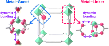 Graphical abstract: Dynamic coordination bonding in metal–organic frameworks: fundamental concepts and emerging applications