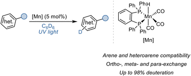 Graphical abstract: Manganese-catalysed HIE of arenes and heteroarenes