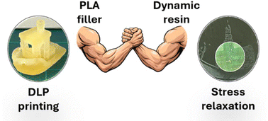 Graphical abstract: Thermoset meets thermoplastic: upcycling PLA in digital light processing 3D printing of dynamic thiol–ene composites