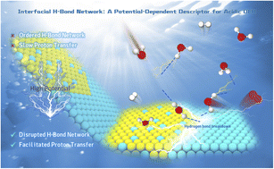 Graphical abstract: Engineering the interfacial water microenvironment to accelerate proton transfer for acidic oxygen evolution at high-potential